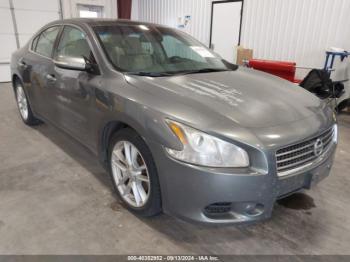  Salvage Nissan Maxima