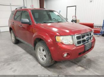  Salvage Ford Escape