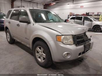  Salvage Ford Escape