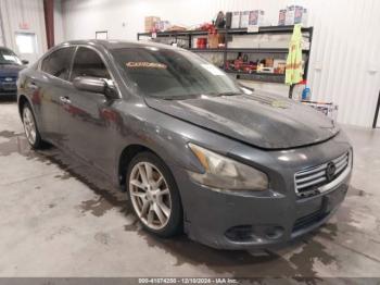  Salvage Nissan Maxima