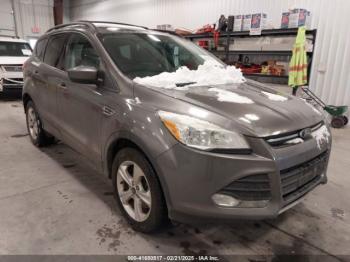  Salvage Ford Escape