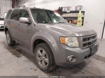  Salvage Ford Escape