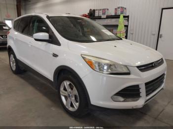  Salvage Ford Escape