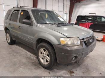  Salvage Ford Escape