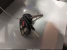Buick LeSabre Custom Image 8
